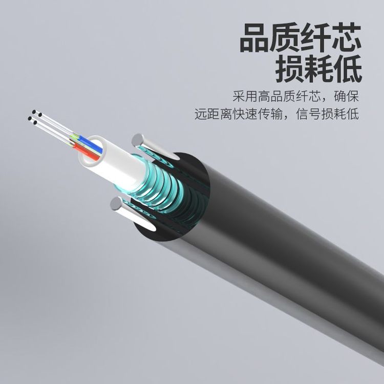 汤湖 GYXTW中心束管式铠装万兆多模光缆