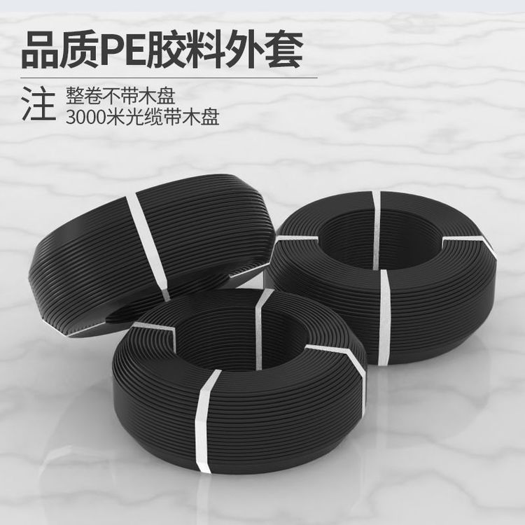 汤湖 GYXTW中心束管式铠装万兆多模光缆
